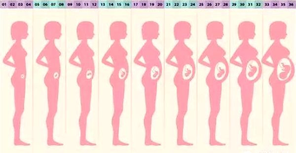 在怀孕后身体也会慢慢出现一系列变化,由于每个人的身体情况不同,所以