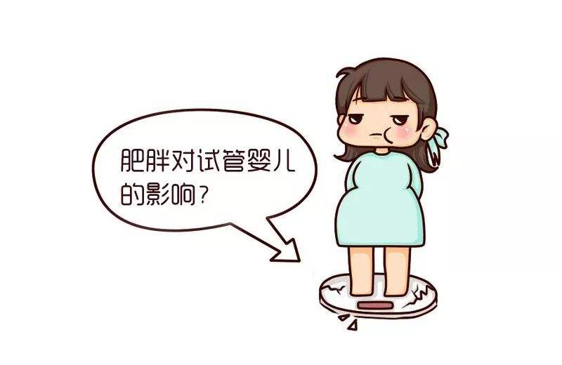 贝安：试管婴儿会因为体重超标受到影响吗?