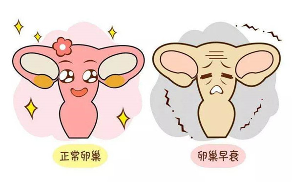 贝安健康：从什么方面注意卵巢的状态?