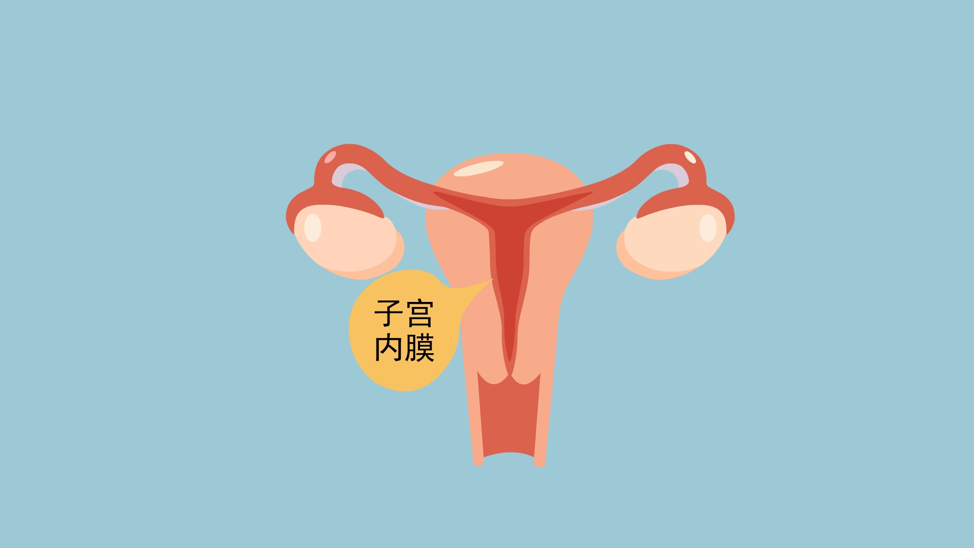 贝安健康:子宫内膜增厚,主要是这六种原因导致的!