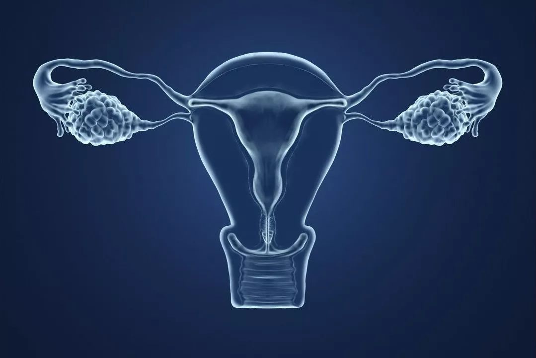 贝安健康：关于卵巢的“四季”变化。