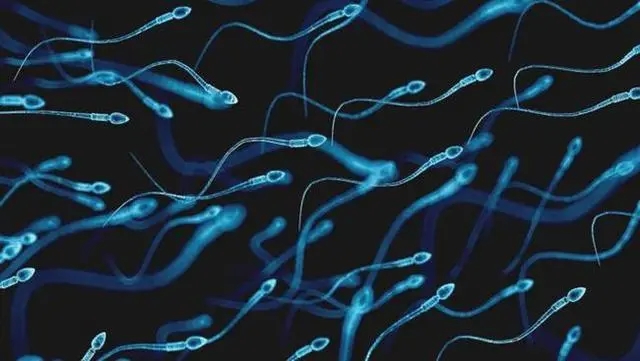 贝安健康：弱精，活力差男性的基础调理指南V1.0