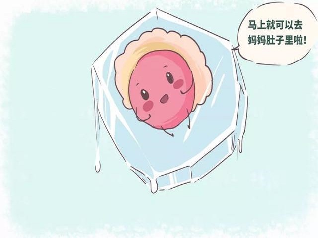 贝安健康：什么情况下最好进行全胚冷冻?