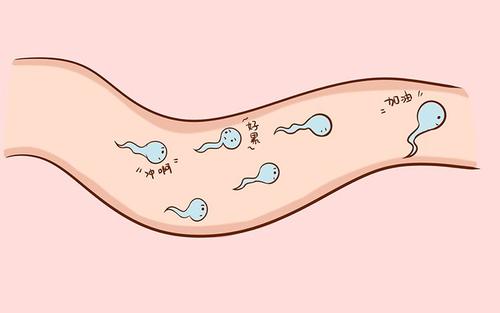 贝安健康：精子畸形，生出来的宝宝会畸形吗?